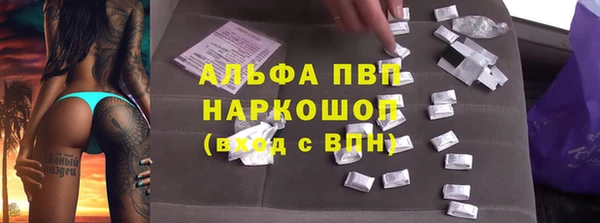 прущие грибы Беломорск