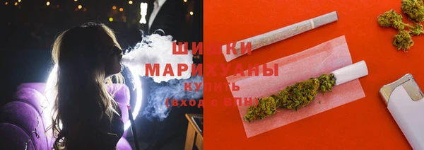 прущие грибы Беломорск
