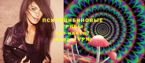 прущие грибы Беломорск