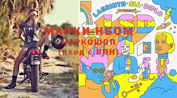 прущие грибы Беломорск