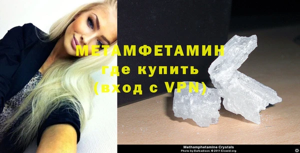 прущие грибы Беломорск