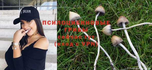 MDMA Белокуриха