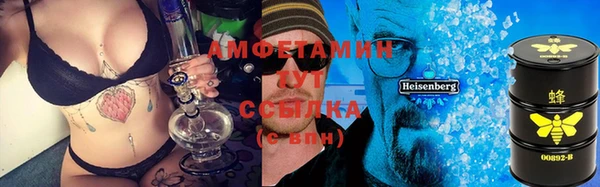 прущие грибы Беломорск